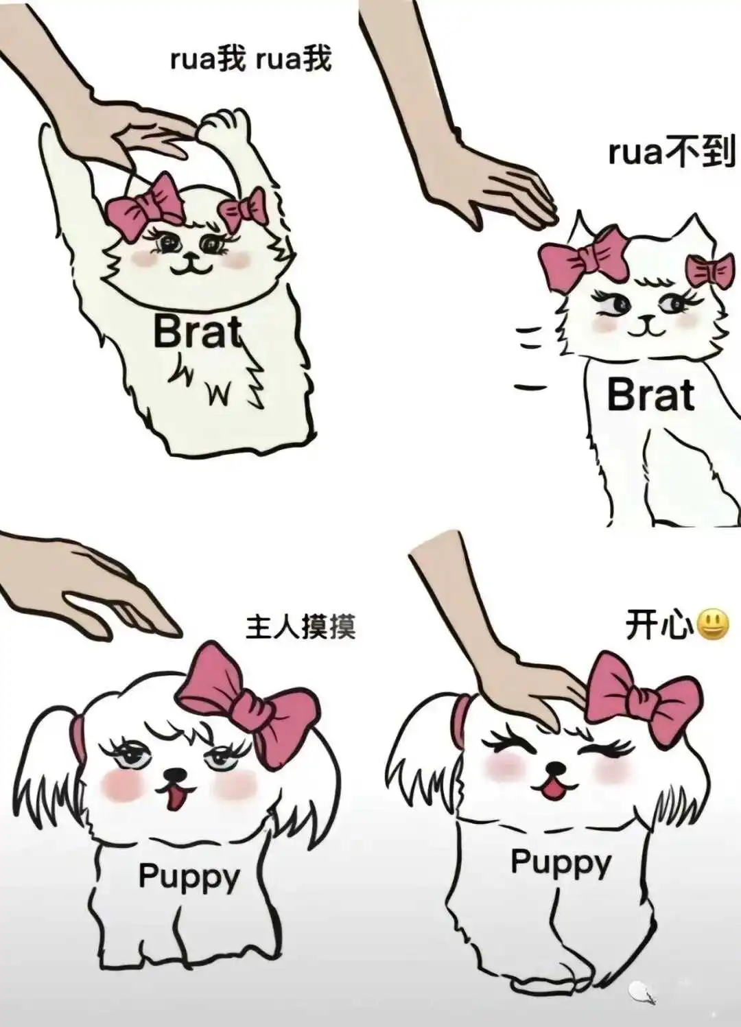 西檬之家-BDSM字母圈新手指南