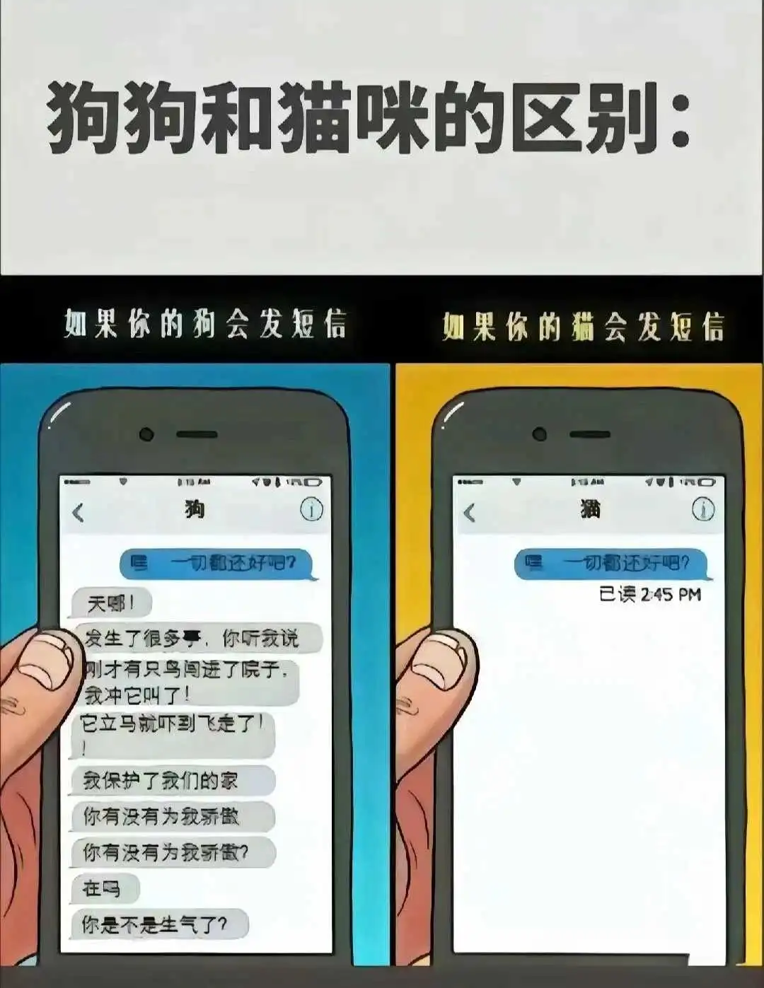 女王：实用指南