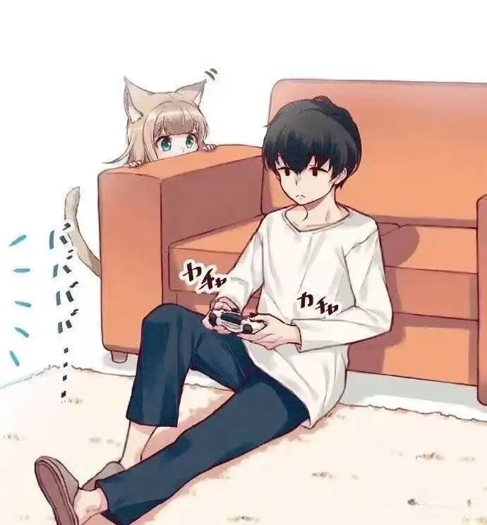 DT：实用指南