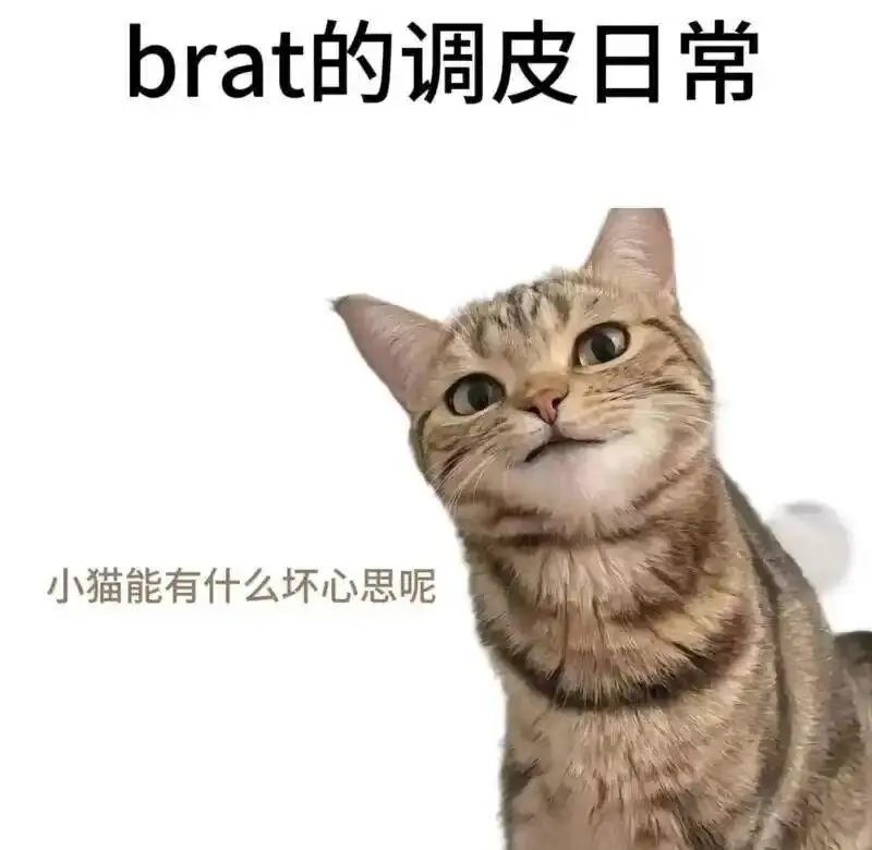 【西檬之家】字母圈新人入门：圣水等术语与SSC原则指南