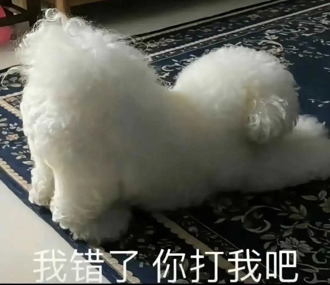西檬之家-OTK是什么意思？字母圈新人入圈基础指南