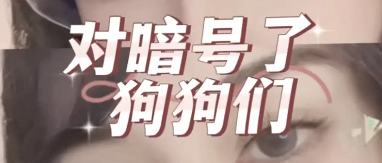 西檬之家-字母圈什么是女王？