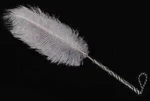 西檬之家-字母圈新人入圈指南：从SSC到安全词的全面解析
