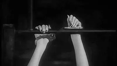 西檬之家-BDSM字母圈新人入圈指南