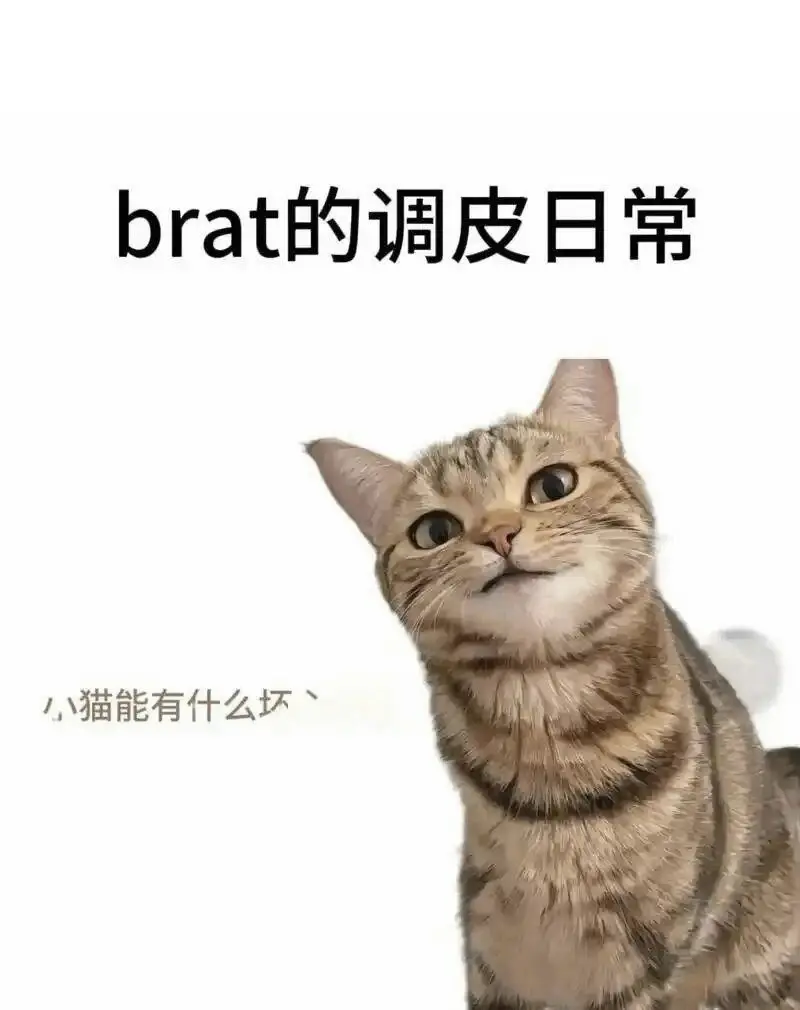 西檬之家-TK是什么？字母圈新人入圈指南